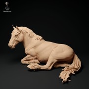 35130346_suffolk-punch-horse-mare-lying-1.jpg