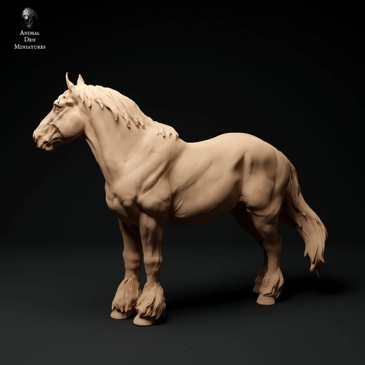 35130347_suffolk-punch-horse-mare-stand-2.jpg