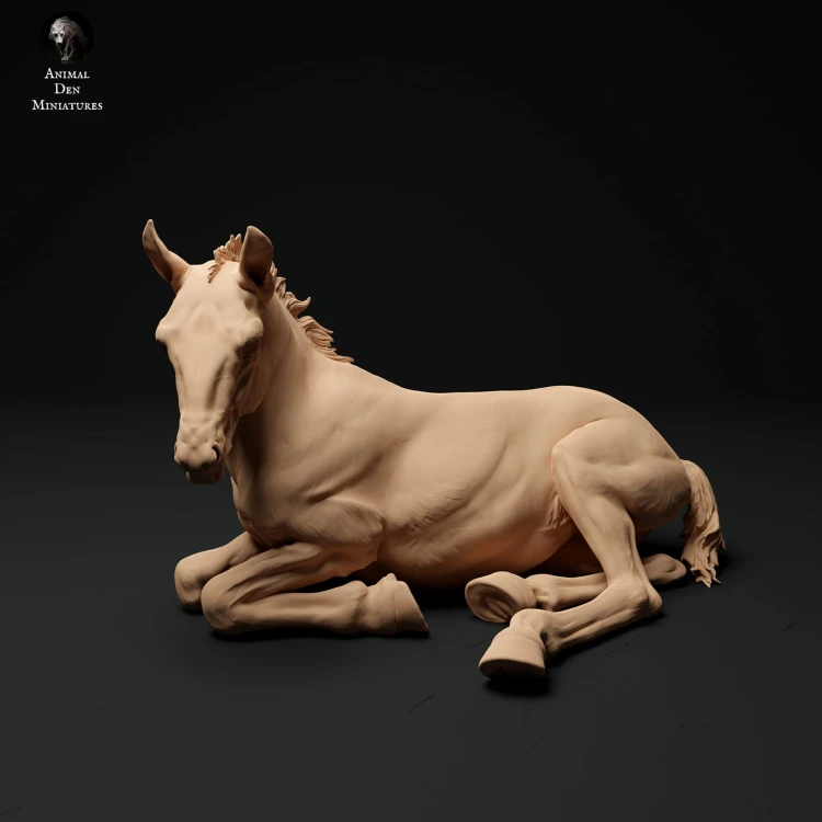 35130343_suffolk-punch-horse-foal-lying-1.jpg