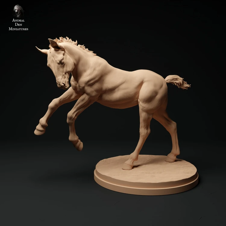 35130344_suffolk-punch-foal-run-1-2.jpg