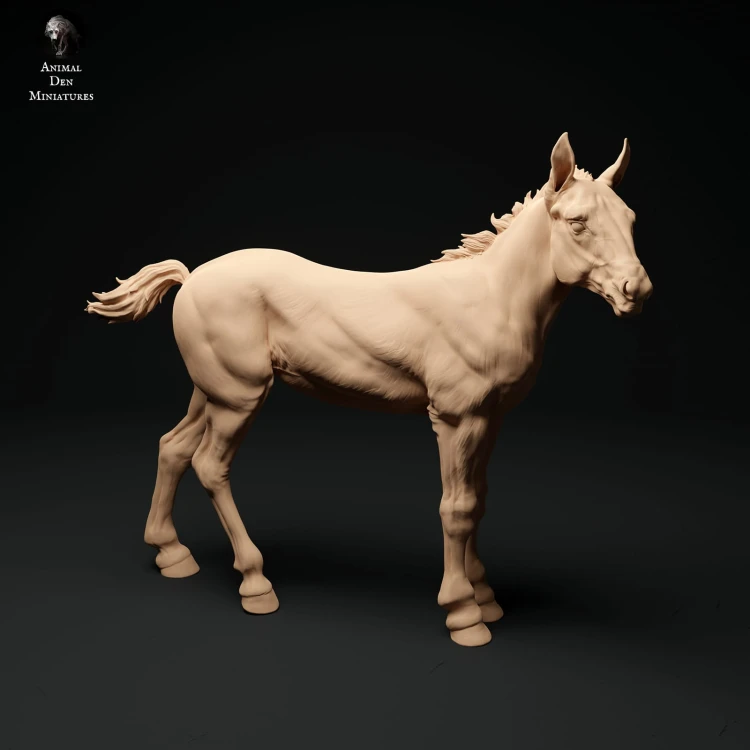 35130344_suffolk-punch-foal-stand-1.jpg