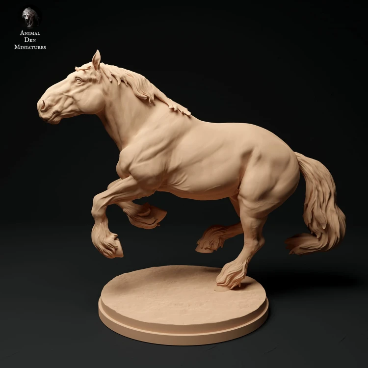 35130350_suffolk-punch-horse-run-1.jpg