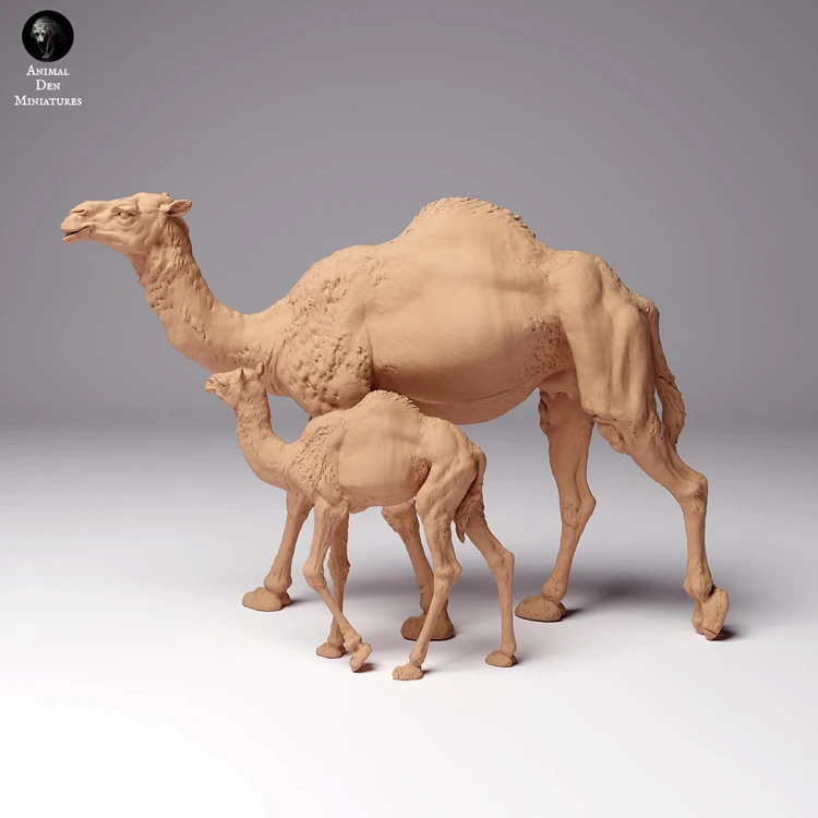 35130261_dromedary-camel-female-with-calf-1.jpg