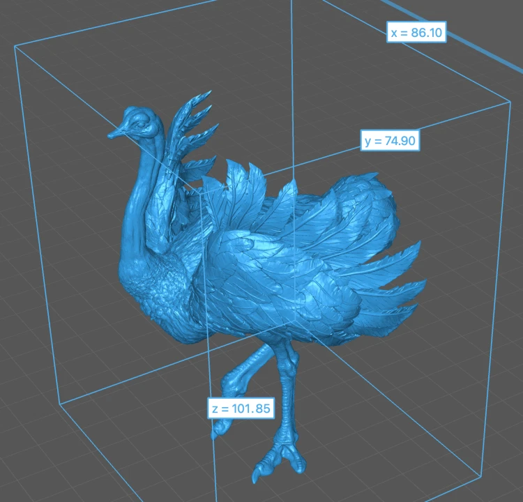 35130262_ostrich-4.png