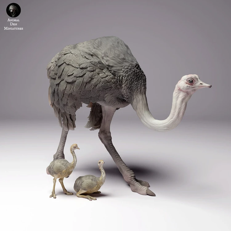 35130263_ostrich-female-with-chick-3.jpg
