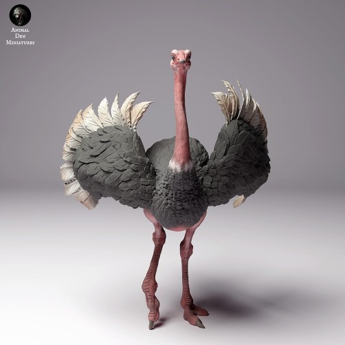 35130262_ostrich-3.jpg