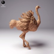 35130262_ostrich-2.jpg