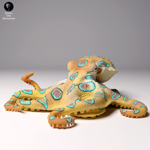 99161107_blue-ringed-octopus-3.jpg