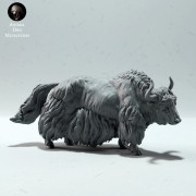 35130601_wild-yak-neutral-2.jpg