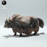 35130601_wild-yak-neutral-4.jpg