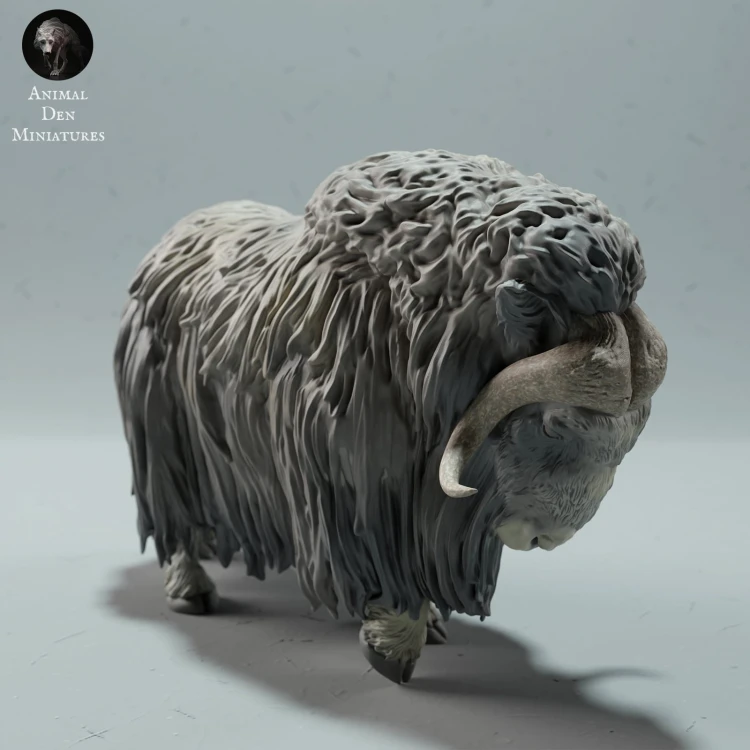 35130604_muskox-second-2.jpg