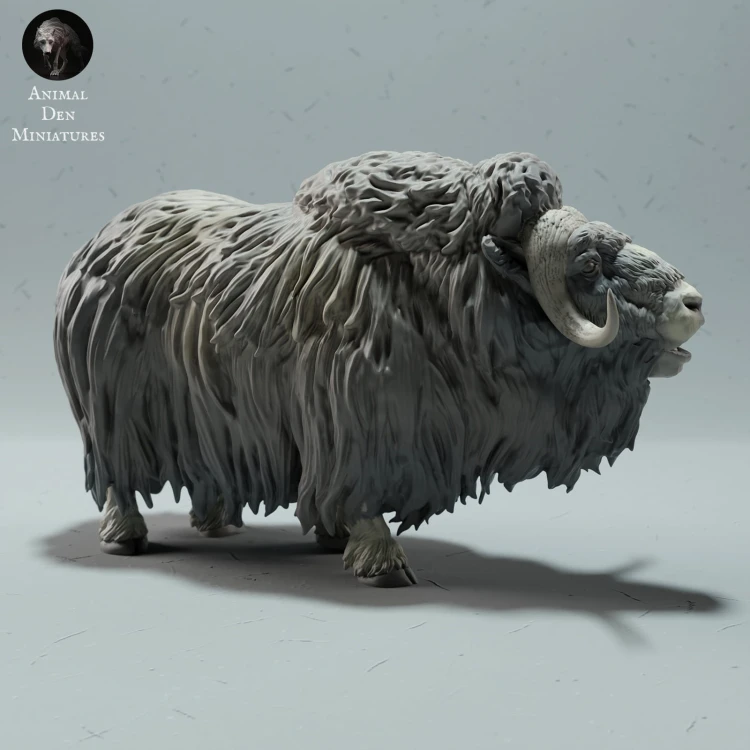 35130605_muskox-2.jpg