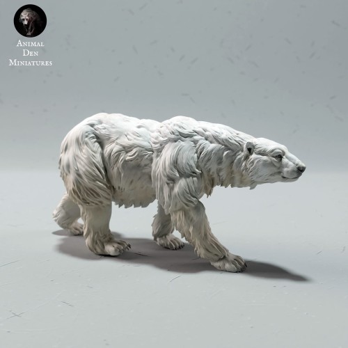 35130609_polar-bear-walk-2.jpg