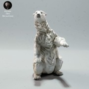 35130607_polar-bear-sitting-1.jpg