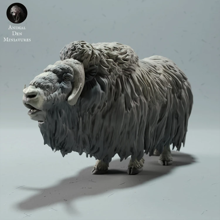 35130605_muskox-1.jpg