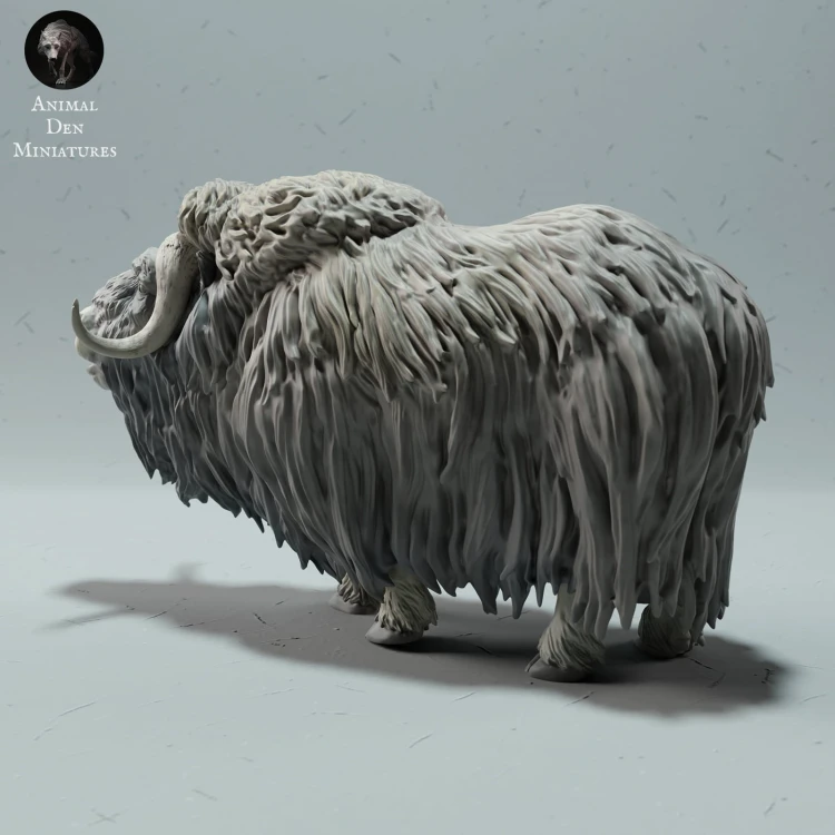 35130605_muskox-4.jpg
