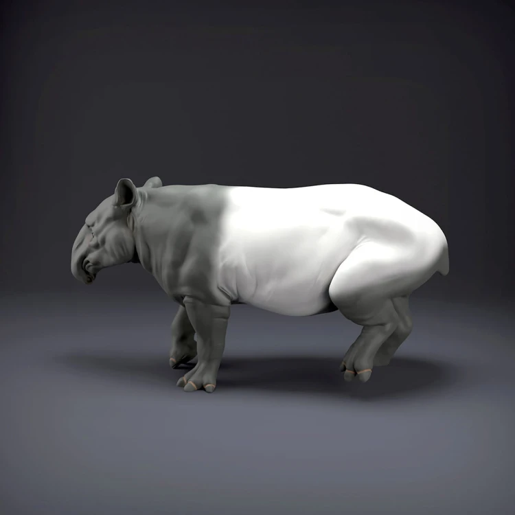 malayan-tapir-2.jpg