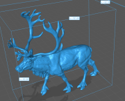 35130613_reindeer-stag-walk-5.png