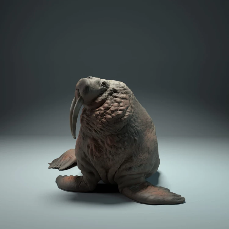 35130616_walrus_1.jpg