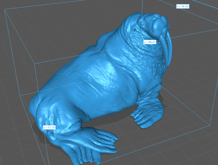 35130616_walrus_5.png