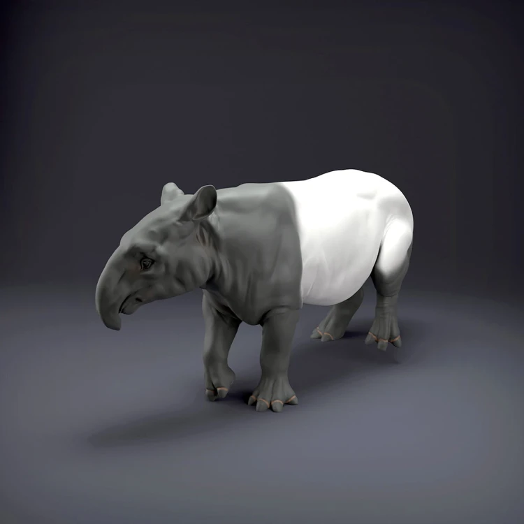 malayan-tapir-1.jpg