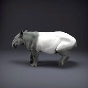 malayan-tapir-2.jpg