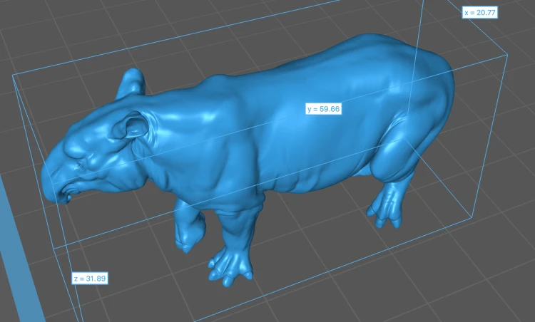 35130265_malayan-tapir-5.png