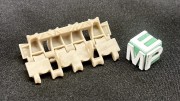 16041371_Panther_Tracks_Intermediate_1.jpg