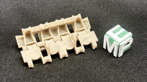 16041371_Panther_Tracks_Intermediate_1.jpg