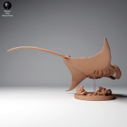 35130270_reef_manta2_1.jpg