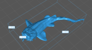 35130272_spotted_wobbegong_hunt_4.png
