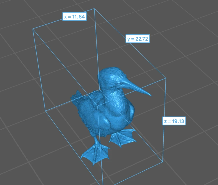 blue_footed_booby_5.png