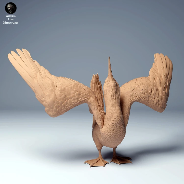 blue_footed_booby_dance_3.jpg