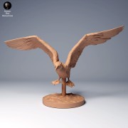 blue_footed_booby_fly_2.jpg