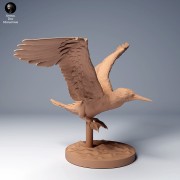 blue_footed_booby_fly_3.jpg