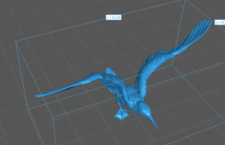 blue_footed_booby_fly_5.png