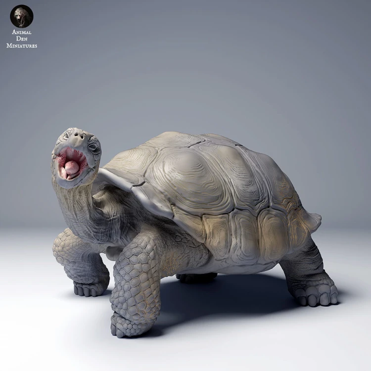35130273_galapagos_tortoise_eat_4.jpg