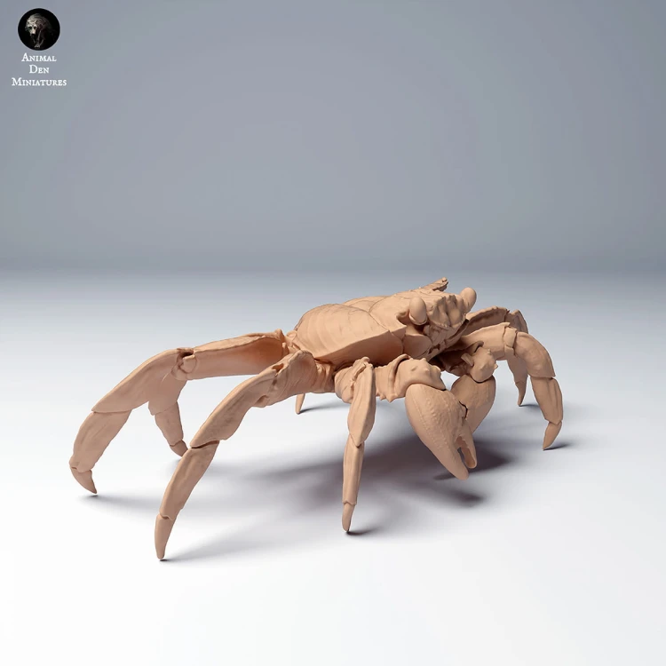 35130277_sally_lightfoot_crab_1.jpg
