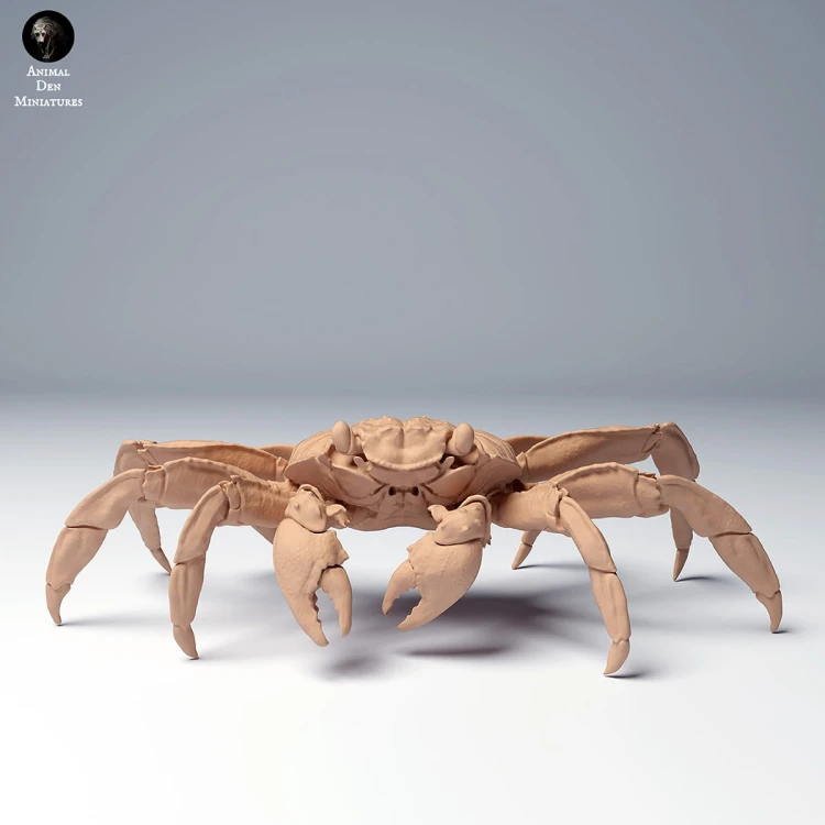 35130277_sally_lightfoot_crab_3.jpg