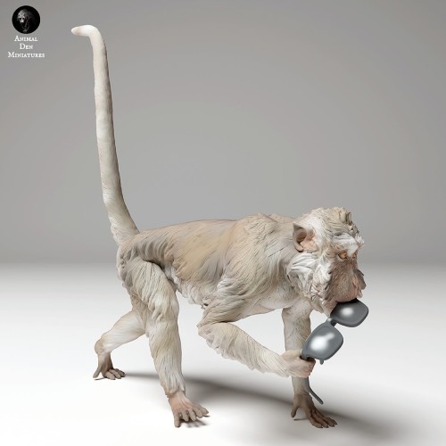 35130278_macaque_glasses_4.jpg