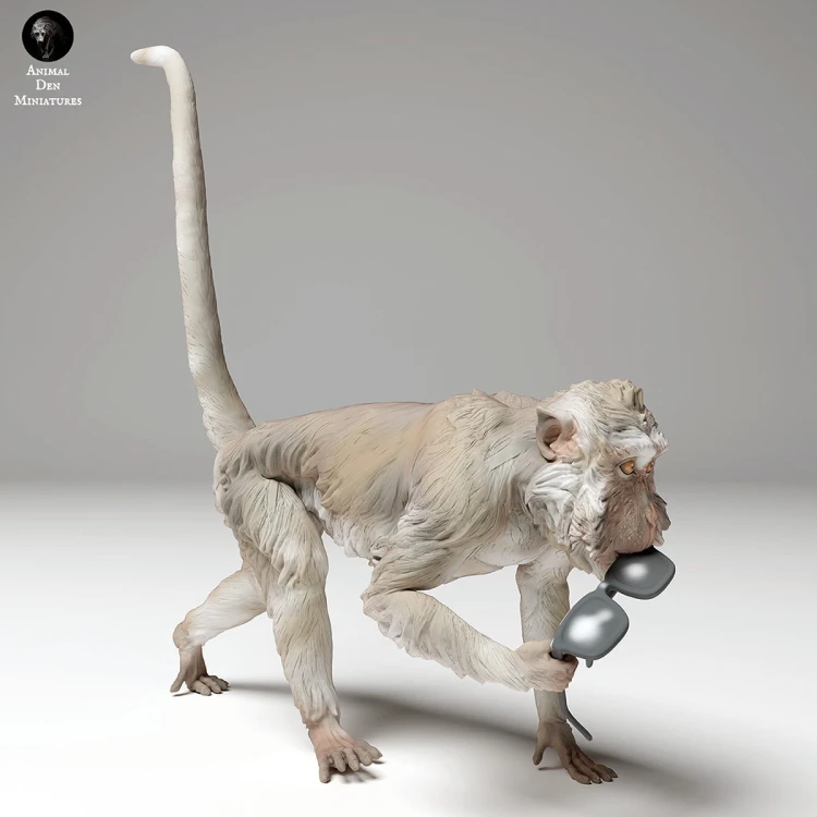 35130278_macaque_glasses_4.jpg