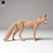35130440_red_fox_4.jpg