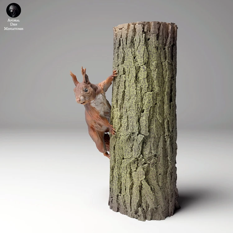 35130445_red_squirrel_tree_3.jpg