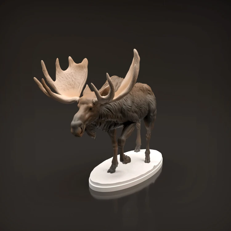 35130446_moose-8.jpg