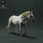35130281_camargue-horse-1.jpg