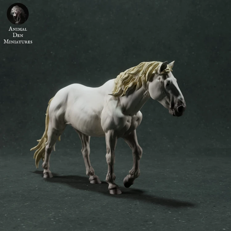 35130281_camargue-horse-1.jpg