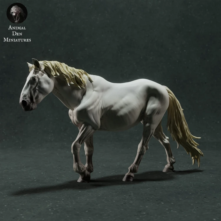 35130281_camargue-horse-4.jpg