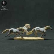 35130283_camargue-horses-running-5.jpg