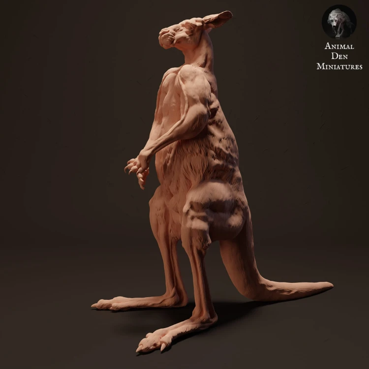 35130287_kangaroo-standing-3.jpg