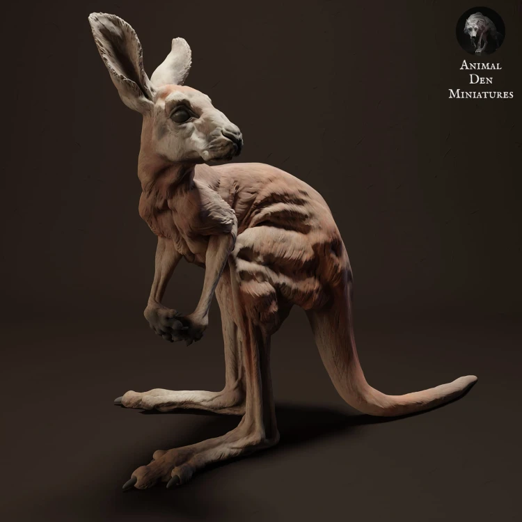 35130288_kangaroo-joey-3.jpg